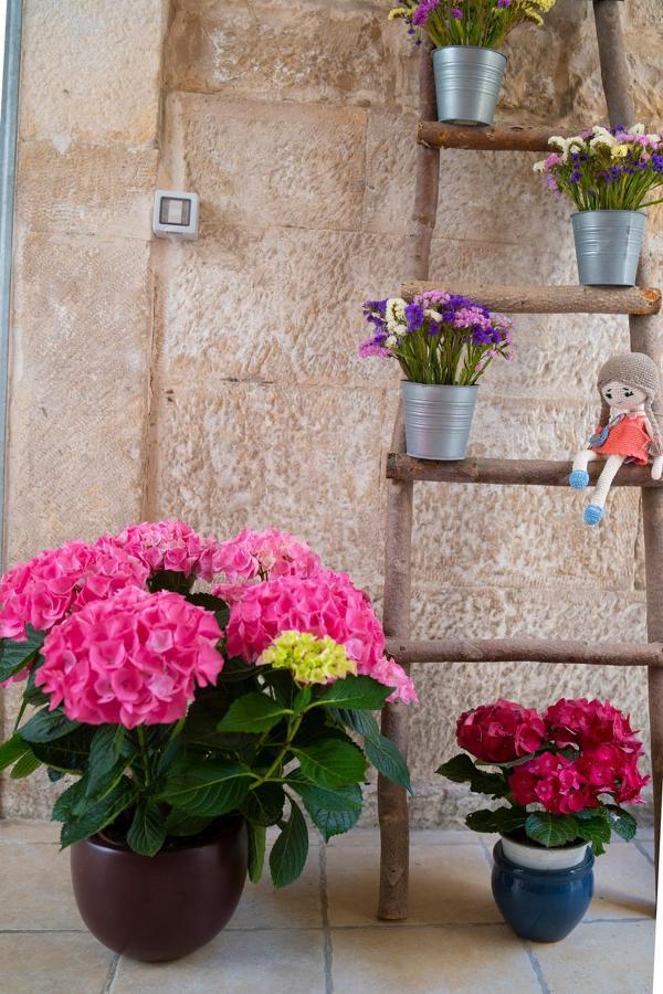 Il Saraceno Apartment جيوفيناتسو المظهر الخارجي الصورة