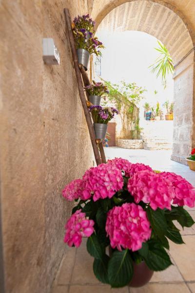Il Saraceno Apartment جيوفيناتسو المظهر الخارجي الصورة